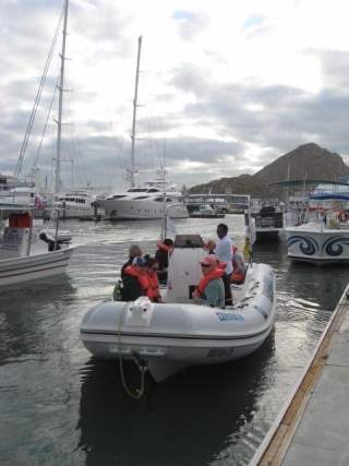 Excursiones de avistamiento